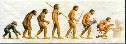 Die Evolution - ein FunPic